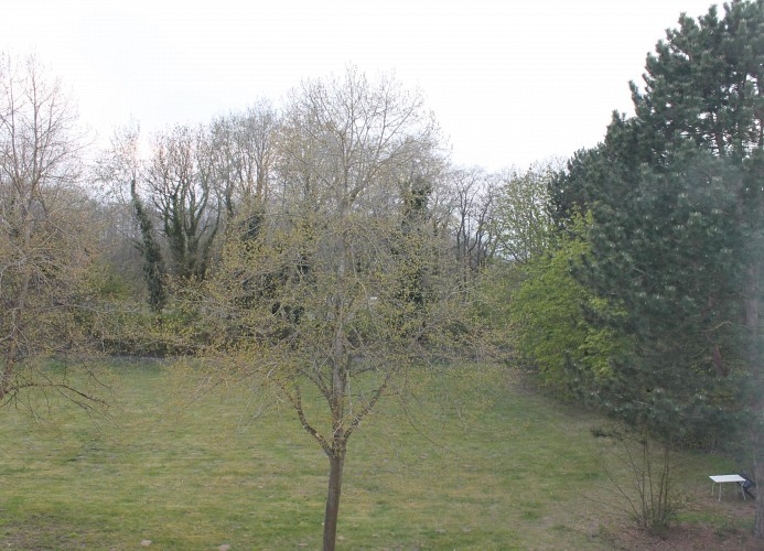 Ferienwohnung S257
